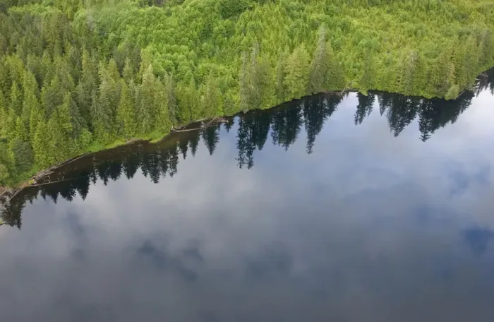 Framed Print : aerial view, alaska, cloud, coastline, color image, day, forest, green, horizontal