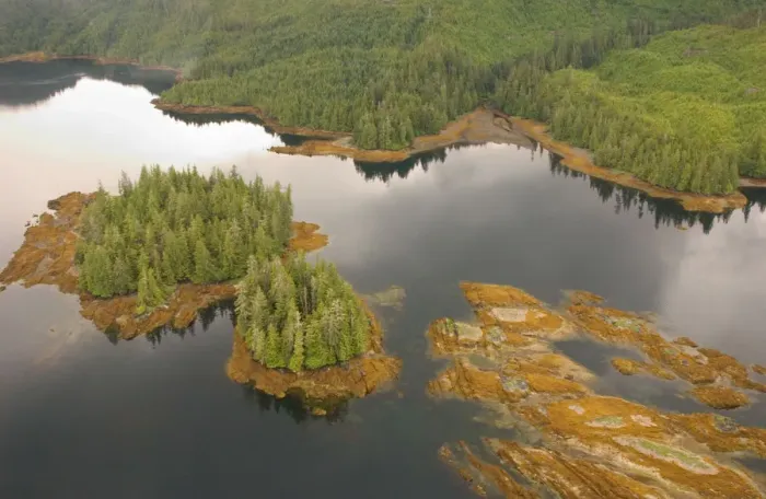 Framed Print : aerial view, alaska, coastline, color image, day, forest, horizontal, island, lake Framed Print : aerial view, alaska, coastline, color image, day, forest, horizontal, island, lake