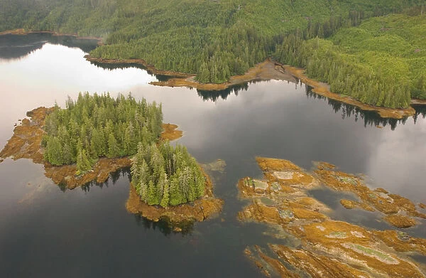 aerial view, alaska, coastline, color image, day, forest, horizontal, island, lake
