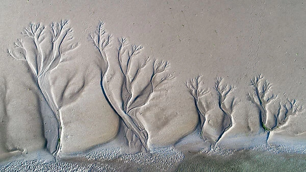 Aerial view of amazing natural shapes and textures created by tidal changes