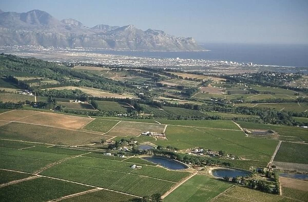 Aerial View of Coastal Vineyards
