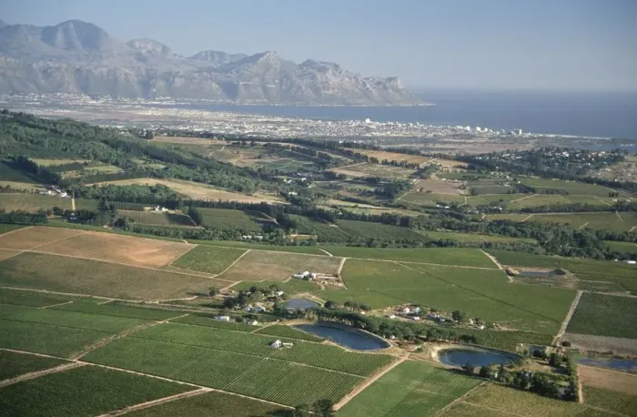 Framed Print : Aerial View of Coastal Vineyards Framed Print : Aerial View of Coastal Vineyards