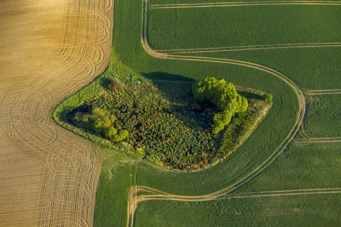 Framed Print : Aerial view, copse, fields, Muhl Rosin, Mecklenburg-Western Pomerania, Germany Framed Print : Aerial view, copse, fields, Muhl Rosin, Mecklenburg-Western Pomerania, Germany