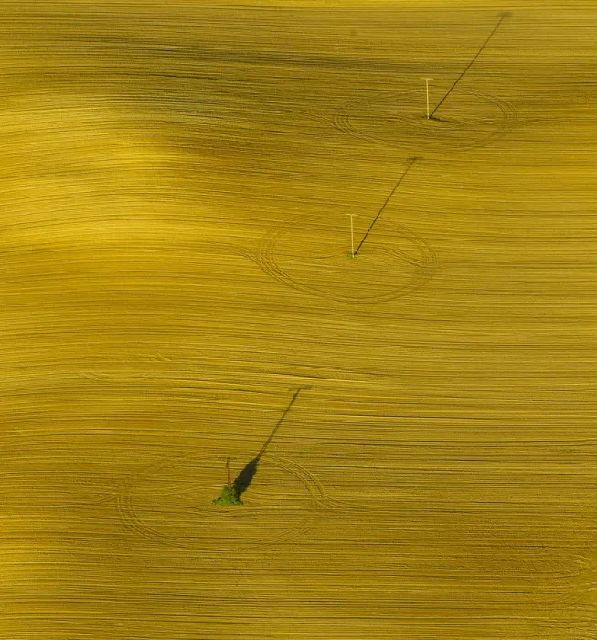 Framed Print : Aerial view, electricity pylons in a field, Gutov, Mecklenburg-Western Pomerania, Germany Framed Print : Aerial view, electricity pylons in a field, Gutov, Mecklenburg-Western Pomerania, Germany