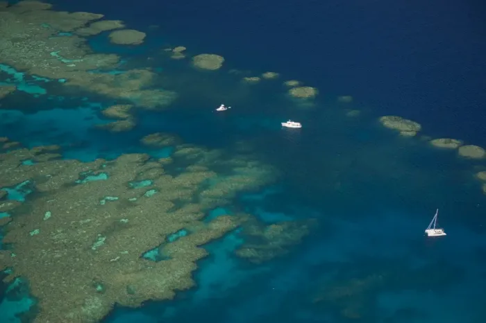 Framed Print : Aerial view of the Great Barrier Reef, UNESCO World Heritage Site, Queensland, Australia