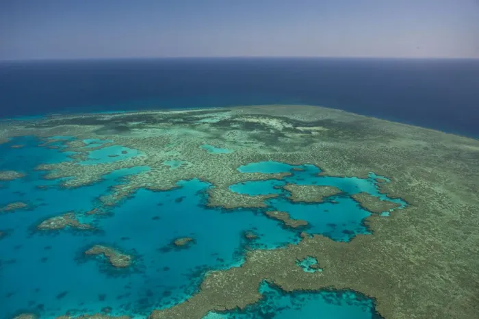Framed Print : Aerial view of the Great Barrier Reef, UNESCO World Heritage Site, Queensland, Australia Framed Print : Aerial view of the Great Barrier Reef, UNESCO World Heritage Site, Queensland, Australia