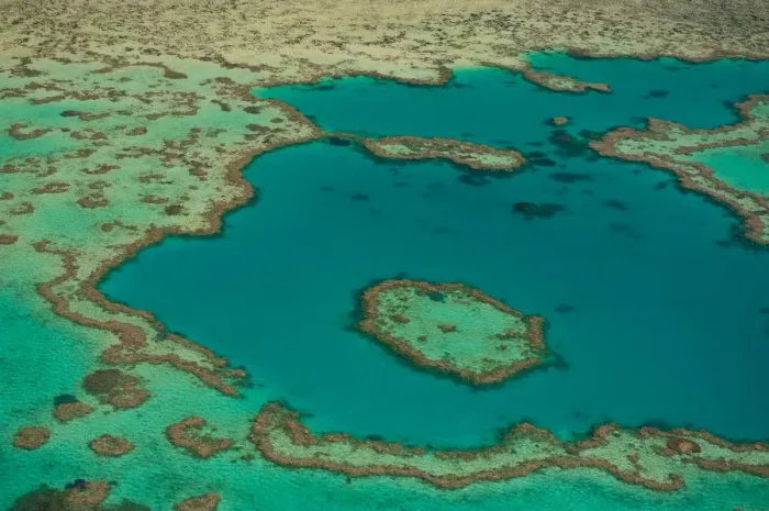 Framed Print : Aerial view of the Great Barrier Reef, UNESCO World Heritage Site, Queensland, Australia Framed Print : Aerial view of the Great Barrier Reef, UNESCO World Heritage Site, Queensland, Australia