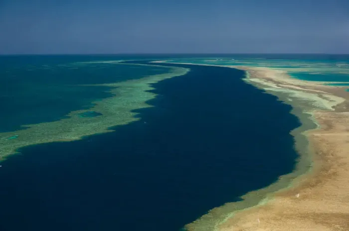 Framed Print : Aerial view of the Great Barrier Reef, UNESCO World Heritage Site, Queensland, Australia Framed Print : Aerial view of the Great Barrier Reef, UNESCO World Heritage Site, Queensland, Australia