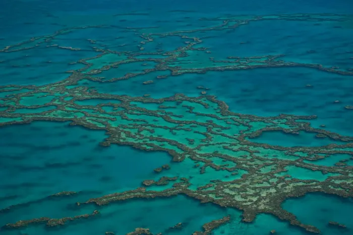 Framed Print : Aerial view of the Great Barrier Reef, UNESCO World Heritage Site, Queensland, Australia Framed Print : Aerial view of the Great Barrier Reef, UNESCO World Heritage Site, Queensland, Australia