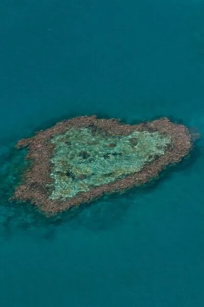 Aerial view, Heart Reef, Great Barrier Reef, UNESCO World Heritage Site, Queensland, Australia