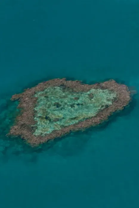 Framed Print : Aerial view, Heart Reef, Great Barrier Reef, UNESCO World Heritage Site, Queensland, Australia Framed Print : Aerial view, Heart Reef, Great Barrier Reef, UNESCO World Heritage Site, Queensland, Australia