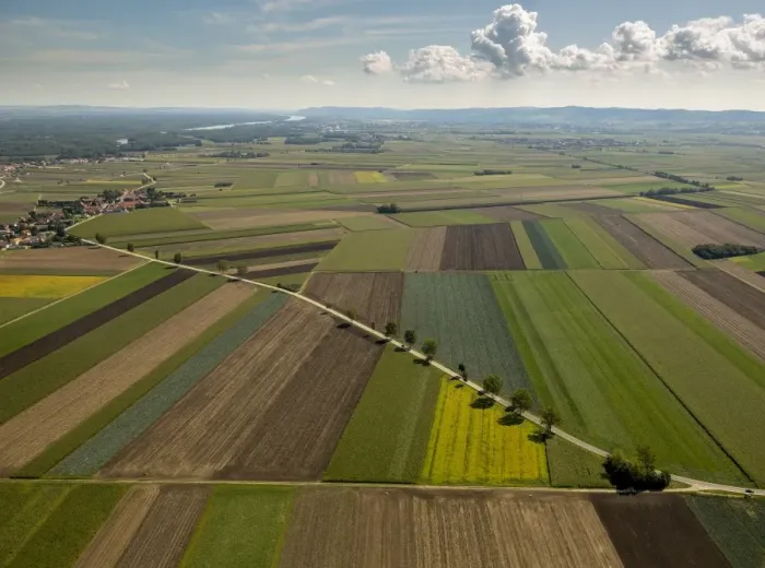 Framed Print : Aerial view, landscape with fields and road, Michelhausen, Lower Austria, Austria Framed Print : Aerial view, landscape with fields and road, Michelhausen, Lower Austria, Austria