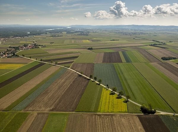 Aerial view, landscape with fields and road, Michelhausen, Lower Austria, Austria