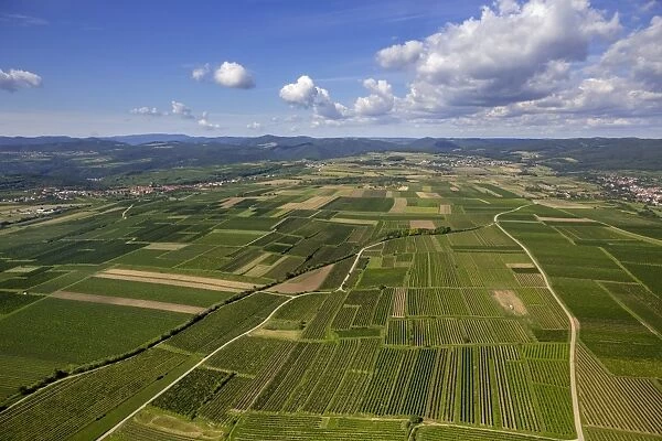 Aerial view, meadows and fields, Lengenfeld, Lower Austria, Austria