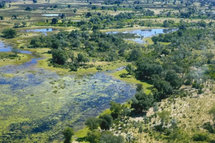 Framed Print : Aerial view, Okavango Delta, Botswana, Africa Framed Print : Aerial view, Okavango Delta, Botswana, Africa