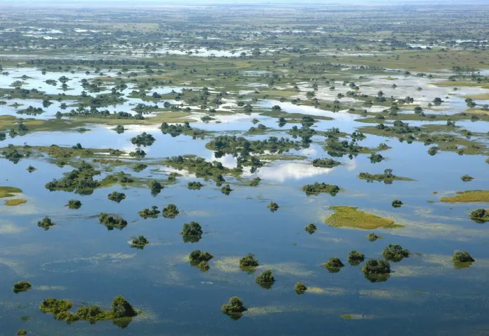 Framed Print : Aerial view, Okavango Delta, Botswana, Africa Framed Print : Aerial view, Okavango Delta, Botswana, Africa