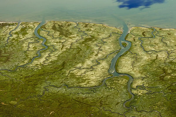 Aerial view, Ostheller outland, salt marshes with tidal creeks, Norderney, island in the North Sea, East Frisian Islands, Lower Saxony, Germany