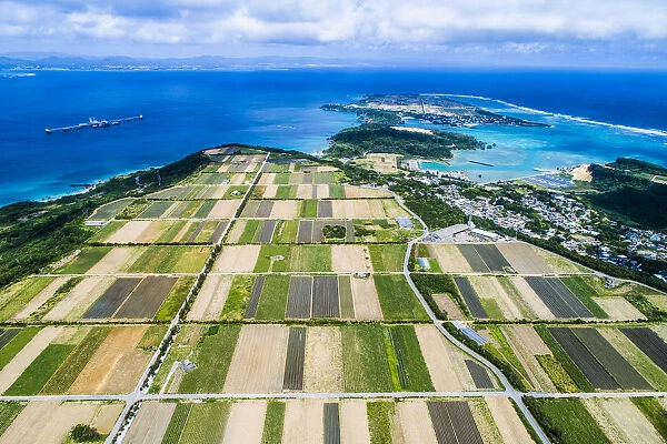 Aerial view of paddy field and blue sea