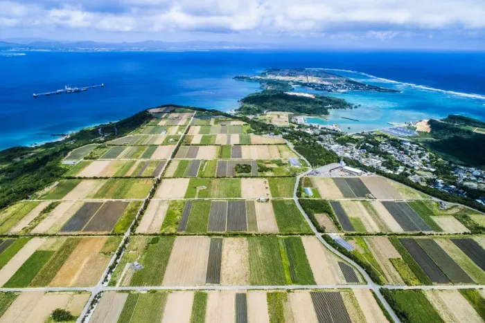 Framed Print : Aerial view of paddy field and blue sea Framed Print : Aerial view of paddy field and blue sea