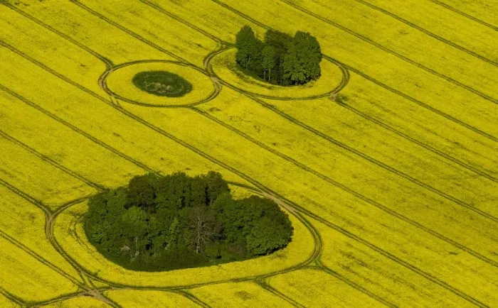 Framed Print : Aerial view, rape fields in full bloom with enclosed groves, Gross Pankow Prignitz, Brandenburg, Germany