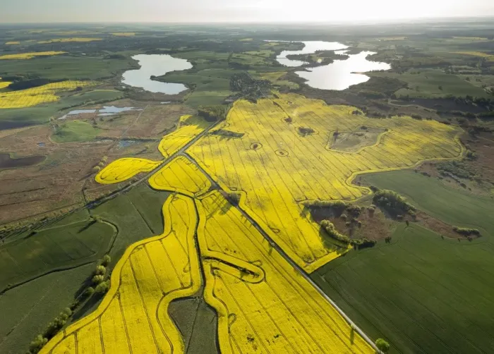 Framed Print : Aerial view, rape fields nar Gustrow, Gutow, Mecklenburg Lake District, Mecklenburg-Western Pomerania, Germany Framed Print : Aerial view, rape fields nar Gustrow, Gutow, Mecklenburg Lake District, Mecklenburg-Western Pomerania, Germany