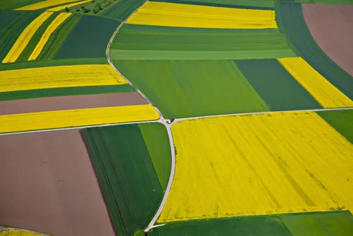 Framed Print : Aerial view, rapeseed fields, corn fields, fields, district of Biberach an der Riss, Baden-Wuerttemberg, Germany, Europe Framed Print : Aerial view, rapeseed fields, corn fields, fields, district of Biberach an der Riss, Baden-Wuerttemberg, Germany, Europe