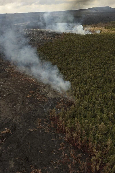 Aerial view of smoke over burning forest, Big Island, Hawaii, USA