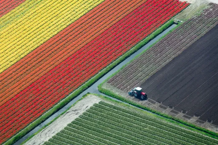 Framed Print : Aerial view of tulip fields and tractor, the Netherlands Framed Print : Aerial view of tulip fields and tractor, the Netherlands