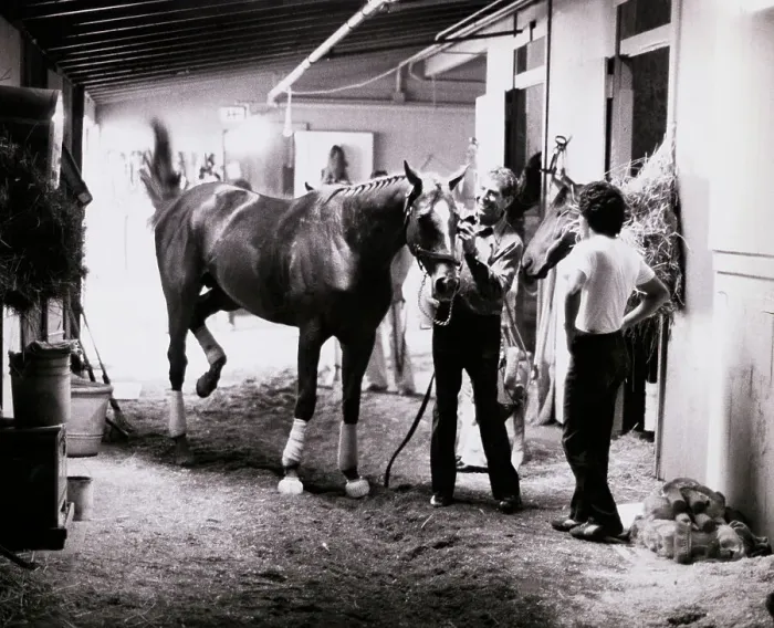 Framed Print : Affirmed Being Brought from His Stall Framed Print : Affirmed Being Brought from His Stall