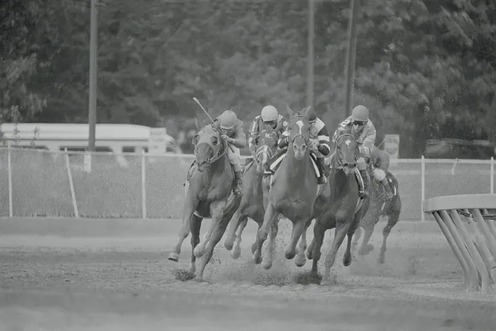 Framed Print : Affirmed Leading the Pack Framed Print : Affirmed Leading the Pack