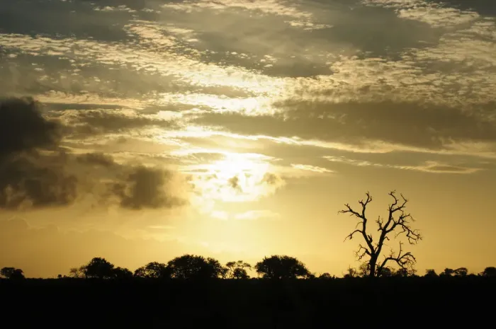Framed Print : africa, african, branches, clouds, color image, colour image, copy space, day, dead Framed Print : africa, african, branches, clouds, color image, colour image, copy space, day, dead