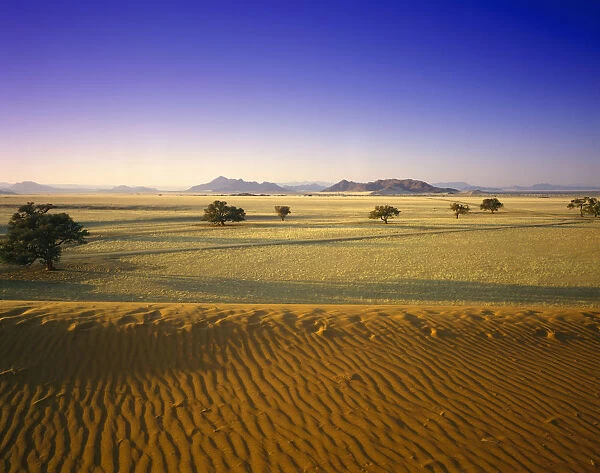 Africa, Arid Climate, Barren, Clear Sky, Color Image, Day, Desert, Dry, Horizon, Horizontal