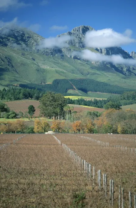 Framed Print : Africa, Autumn, Boland, Cape Winelands, Color Image, Day, District, Fence, Field Framed Print : Africa, Autumn, Boland, Cape Winelands, Color Image, Day, District, Fence, Field