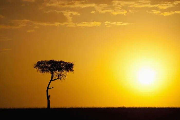 Framed Print : africa, backlit, beauty in nature, cloud, copy space, dusk, glowing, grass area, horizon Framed Print : africa, backlit, beauty in nature, cloud, copy space, dusk, glowing, grass area, horizon