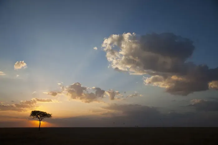 Framed Print : africa, backlit, beauty in nature, cloud, dusk, grass area, horizon, horizon over land Framed Print : africa, backlit, beauty in nature, cloud, dusk, grass area, horizon, horizon over land