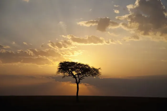 Framed Print : africa, backlit, beauty in nature, cloud, dusk, grass area, horizon, horizon over land