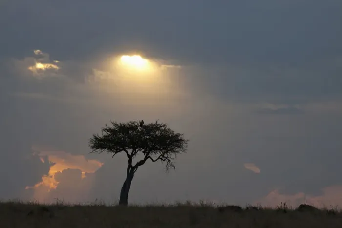 Framed Print : africa, backlit, beauty in nature, cloud, dusk, grass area, grey, horizon, horizon over land