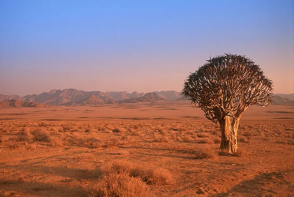 Africa, Clear Sky, Color Image, Day, Desert, Horizon, Horizontal, Landscape, Mountain