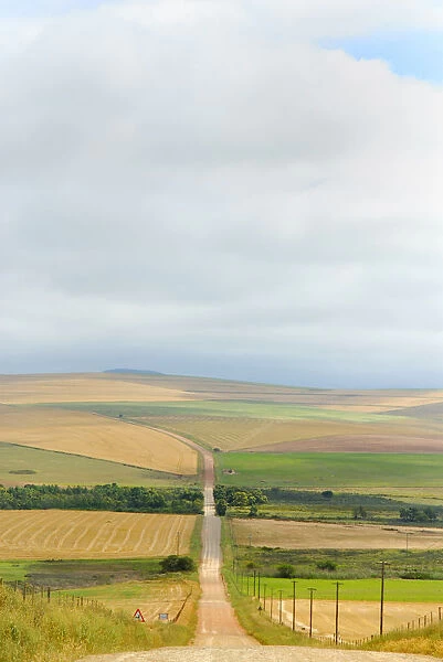 Africa, Cloud, Color Image, Crop, Day, Field, High Angle View, Horizon Over Land