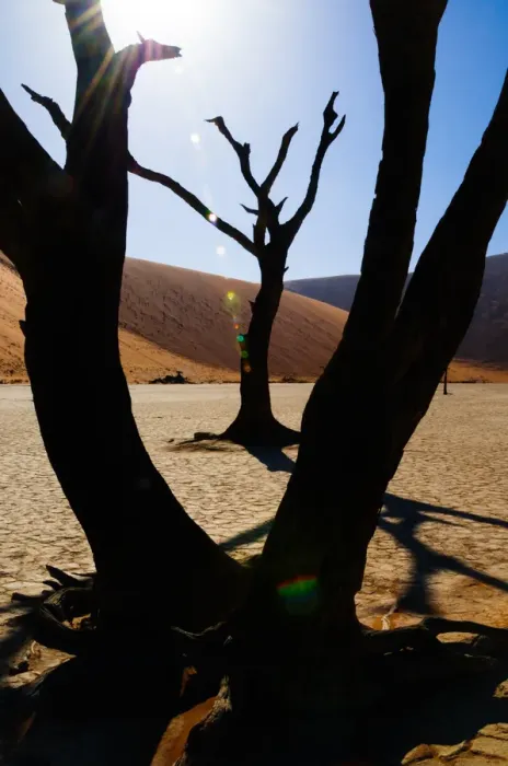 Framed Print : Africa, Dead Vlei, Dune, Namibia, Orange, Sand, Sossusvlei, UNESCO, UNESCO World Framed Print : Africa, Dead Vlei, Dune, Namibia, Orange, Sand, Sossusvlei, UNESCO, UNESCO World