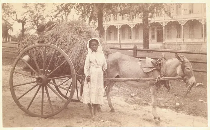 Framed Print : African American Girl with Donkey Framed Print : African American Girl with Donkey