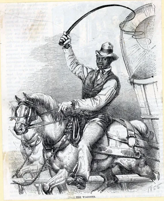 Framed Print : African Am Man Riding Horse / Wagon;Illus Framed Print : African Am Man Riding Horse / Wagon;Illus
