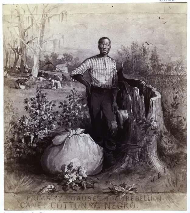 Framed Print : African Am Man Standing In Cotton Field Framed Print : African Am Man Standing In Cotton Field