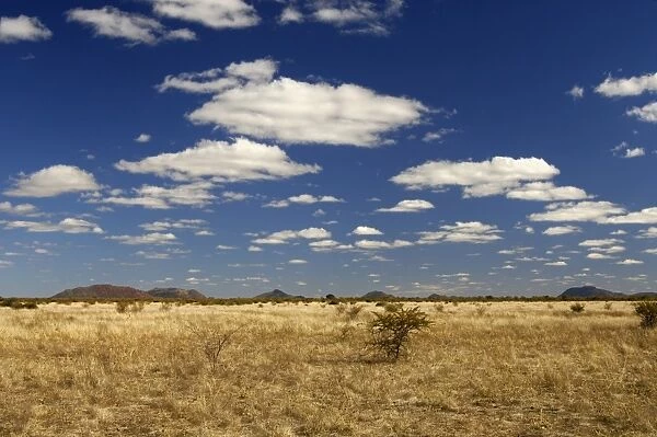 African savannah landscape, Madikwe Game Reserve, South Africa, Africa