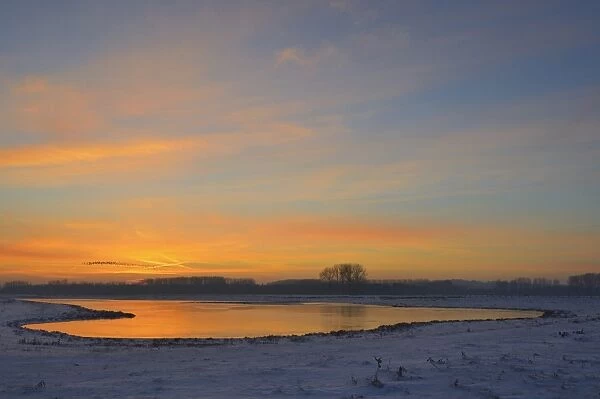 Afterglow in winter, meander of the Rhine, Bislicher Insel, island, Wesel, Lower Rhine, Germany
