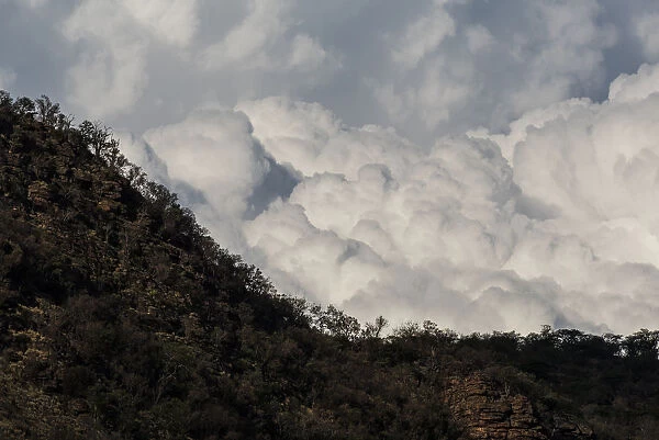 Afternoon storm clouds building up over the mountain ridges, Marataba Private Game Reserve, Limpopo, South Africa