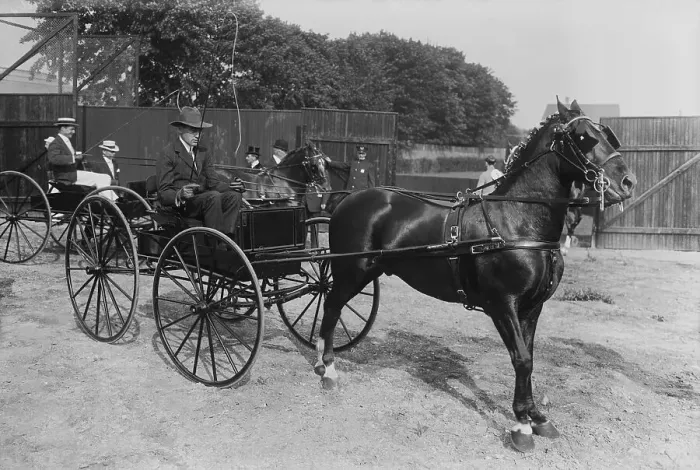Framed Print : A.G. Vanderbilt Driving a Carriage Framed Print : A.G. Vanderbilt Driving a Carriage
