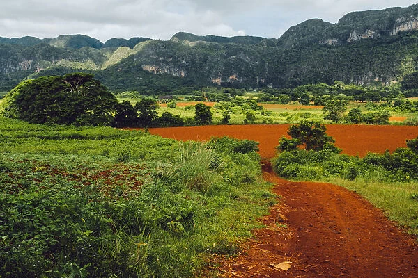 Agricultural fields in ViAnales valley, Cuba