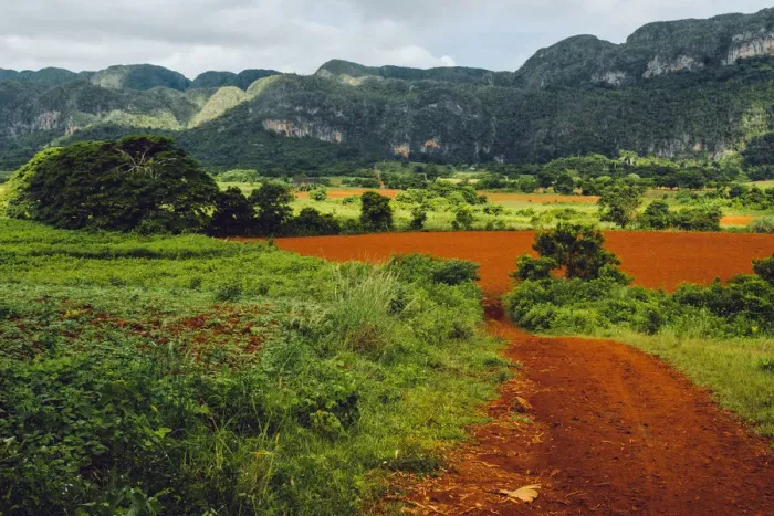 Framed Print : Agricultural fields in ViAnales valley, Cuba Framed Print : Agricultural fields in ViAnales valley, Cuba