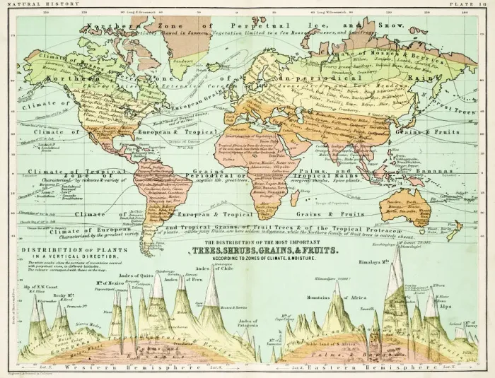 Framed Print : Agricultural Map of the world 1861 Framed Print : Agricultural Map of the world 1861